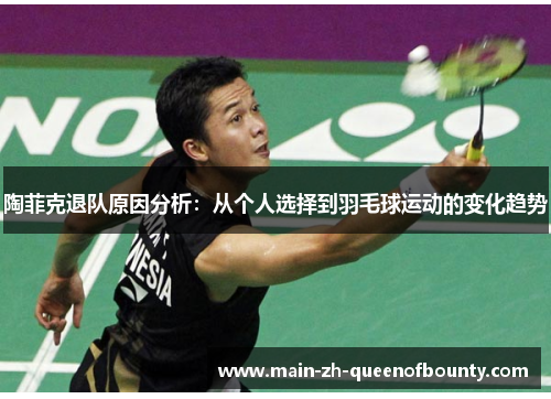 陶菲克退队原因分析：从个人选择到羽毛球运动的变化趋势