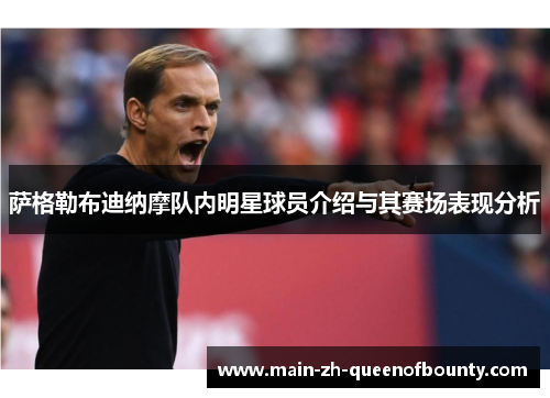 萨格勒布迪纳摩队内明星球员介绍与其赛场表现分析