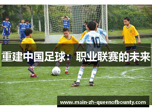 重建中国足球：职业联赛的未来