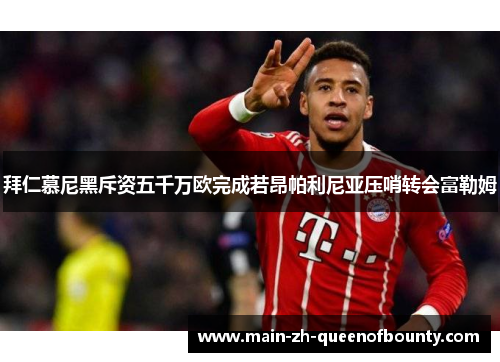 拜仁慕尼黑斥资五千万欧完成若昂帕利尼亚压哨转会富勒姆