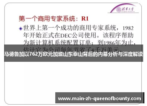 马德鲁加以762万欧元加盟山东泰山背后的内幕分析与深度解读